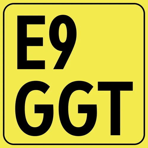 Rohony & mdmx - E9 GGT cover