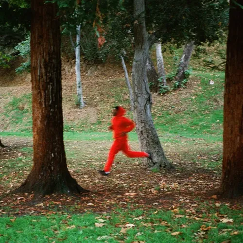 Domo Genesis & Graymatter - SCRAM! cover