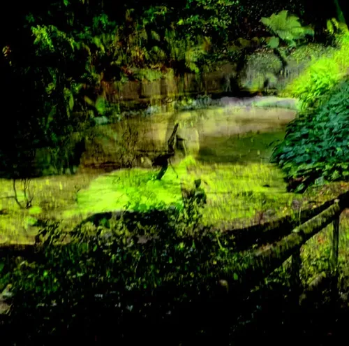 Nakrmte krokodýly - Nakrmte krokodýly cover