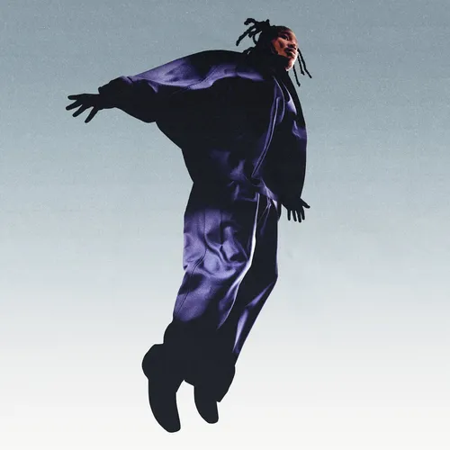 MAVI - The Pilot cover