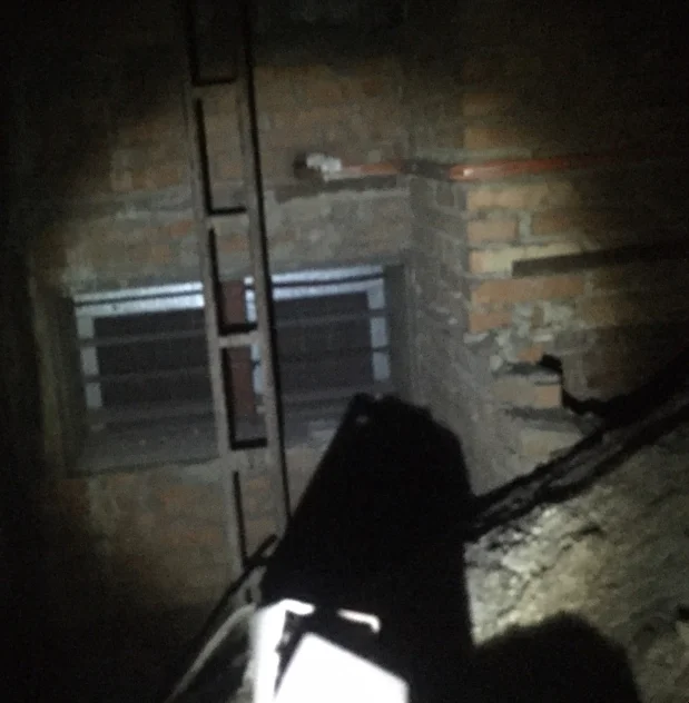 DM4X - Iz u trappin dawg?! cover