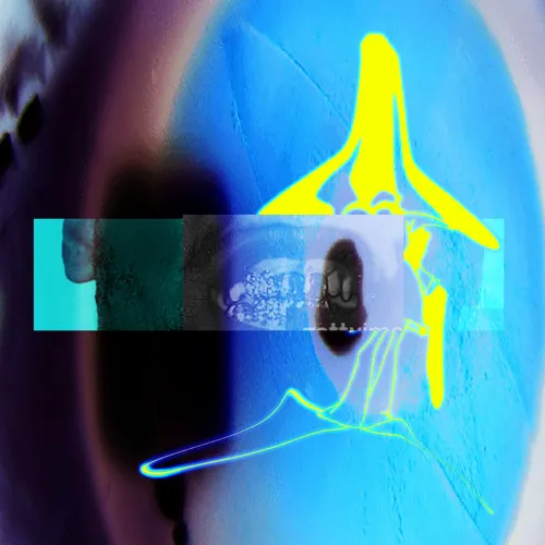 E L U C I D & Sebb Bash - I Guess U Had To Be There cover